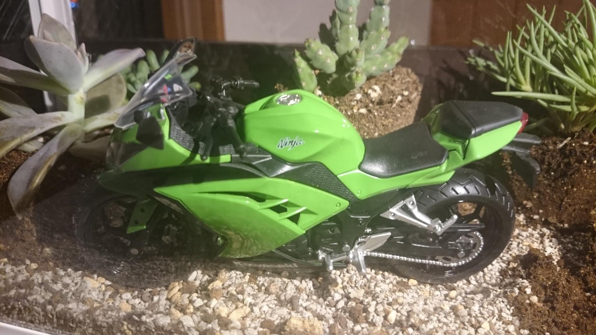 Ninja 250の模型