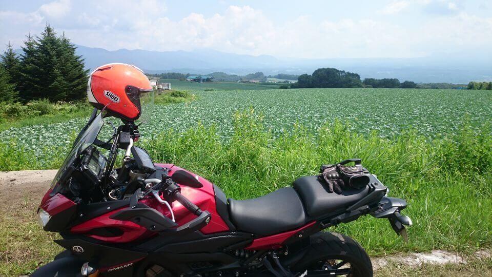 嬬恋村のキャベツ畑