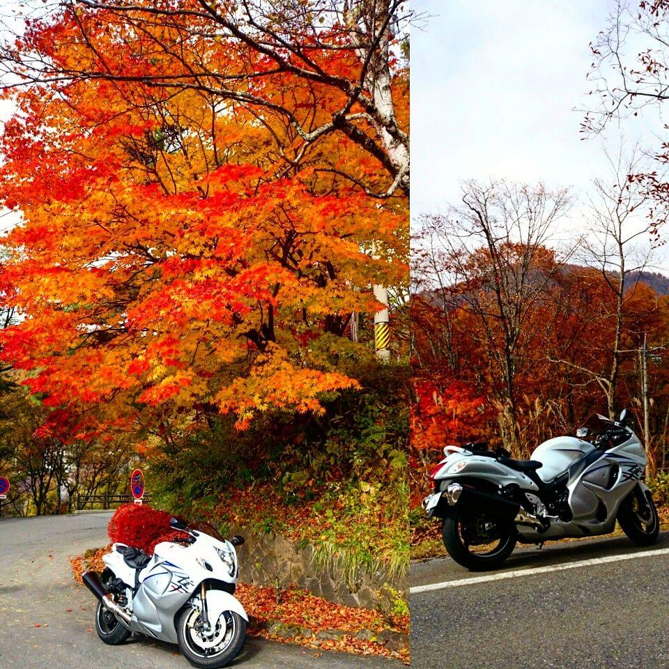 Autumn leaves in Tateshina Highland