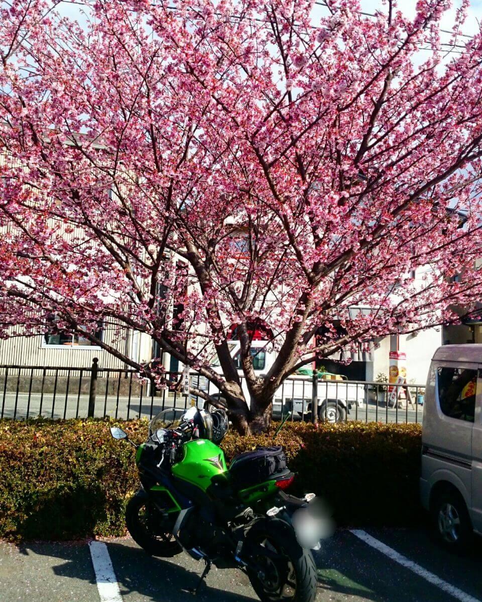 Point Blur_20170204_140112.jpg