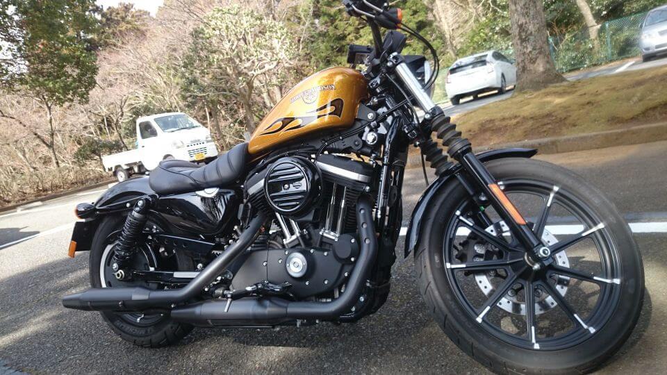 Harley-Davidson 883N IRON