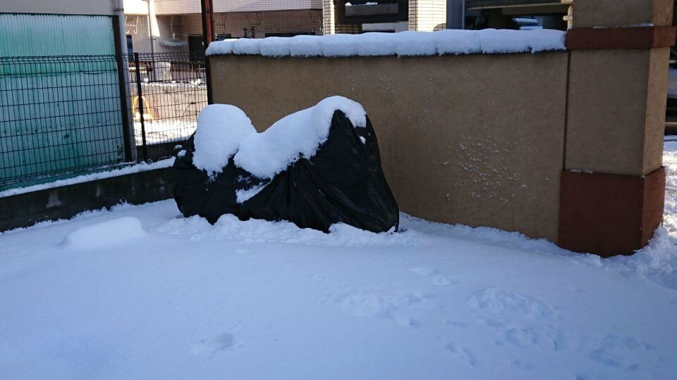 Ninja 650 in the snow