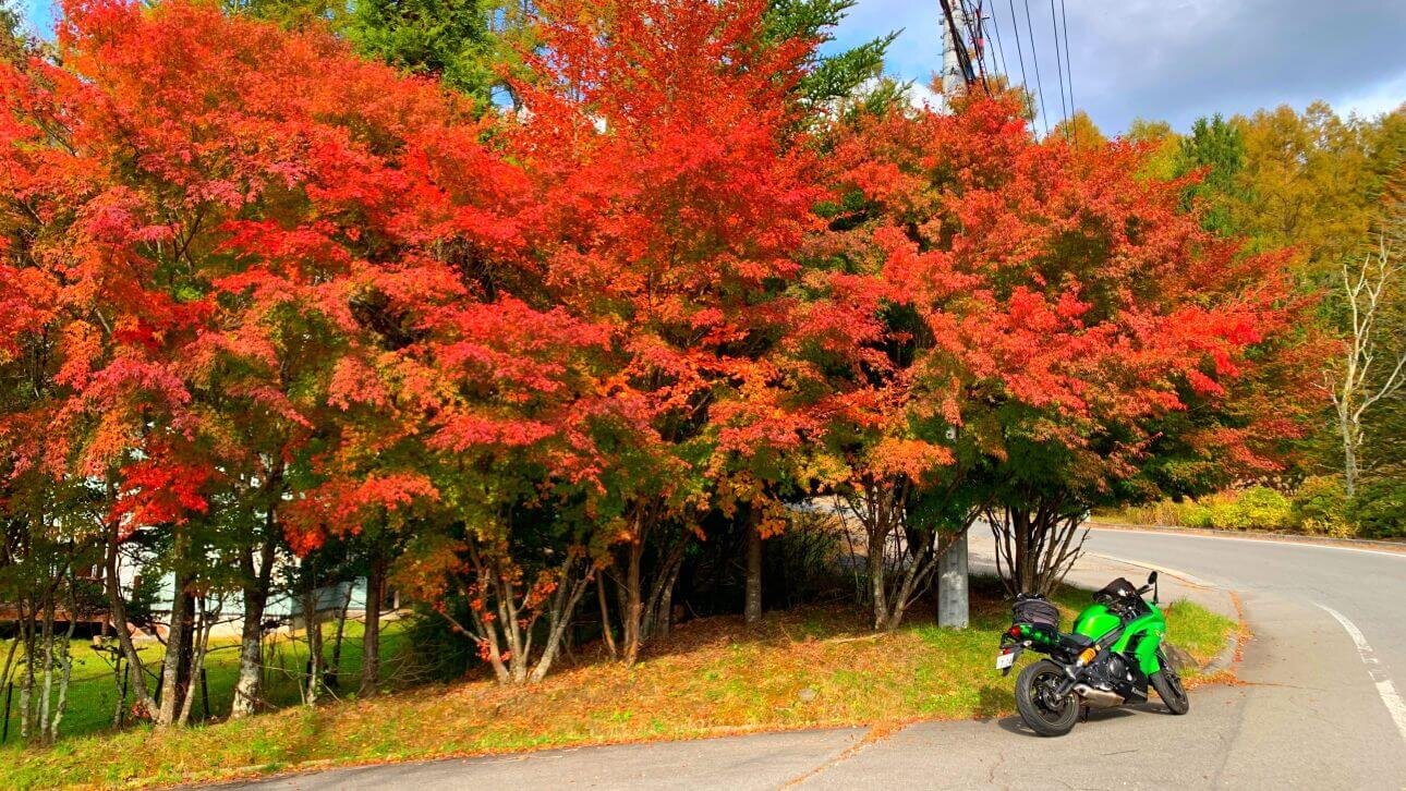 写真 2022-10-23 14 17 24.jpg