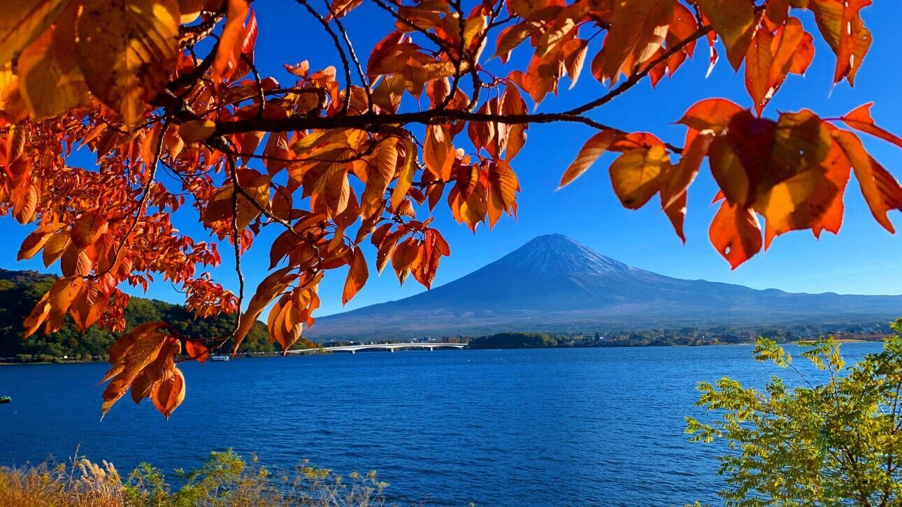 写真 2022-11-03 15 25 12.jpg