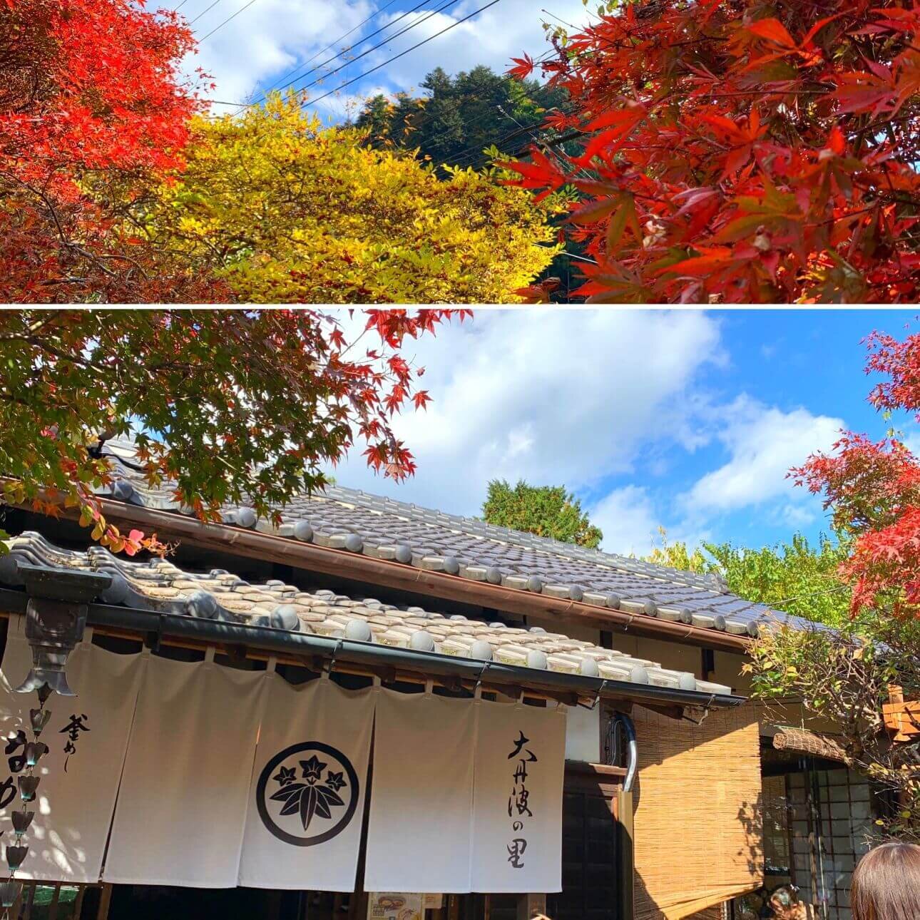 写真 2022-11-07 8 04 25.jpg